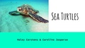 Sea Turtles Presentation.pdf