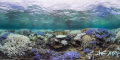 Biotech-bleached-and-purple-stahorn-shallow-reef.png