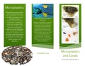 Microplastics Corals Brochure (1).pdf
