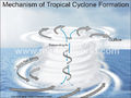 Mechanism-of-tropical-cyclone2.jpg